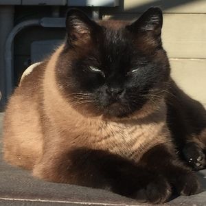 Meet your Posher, Chris